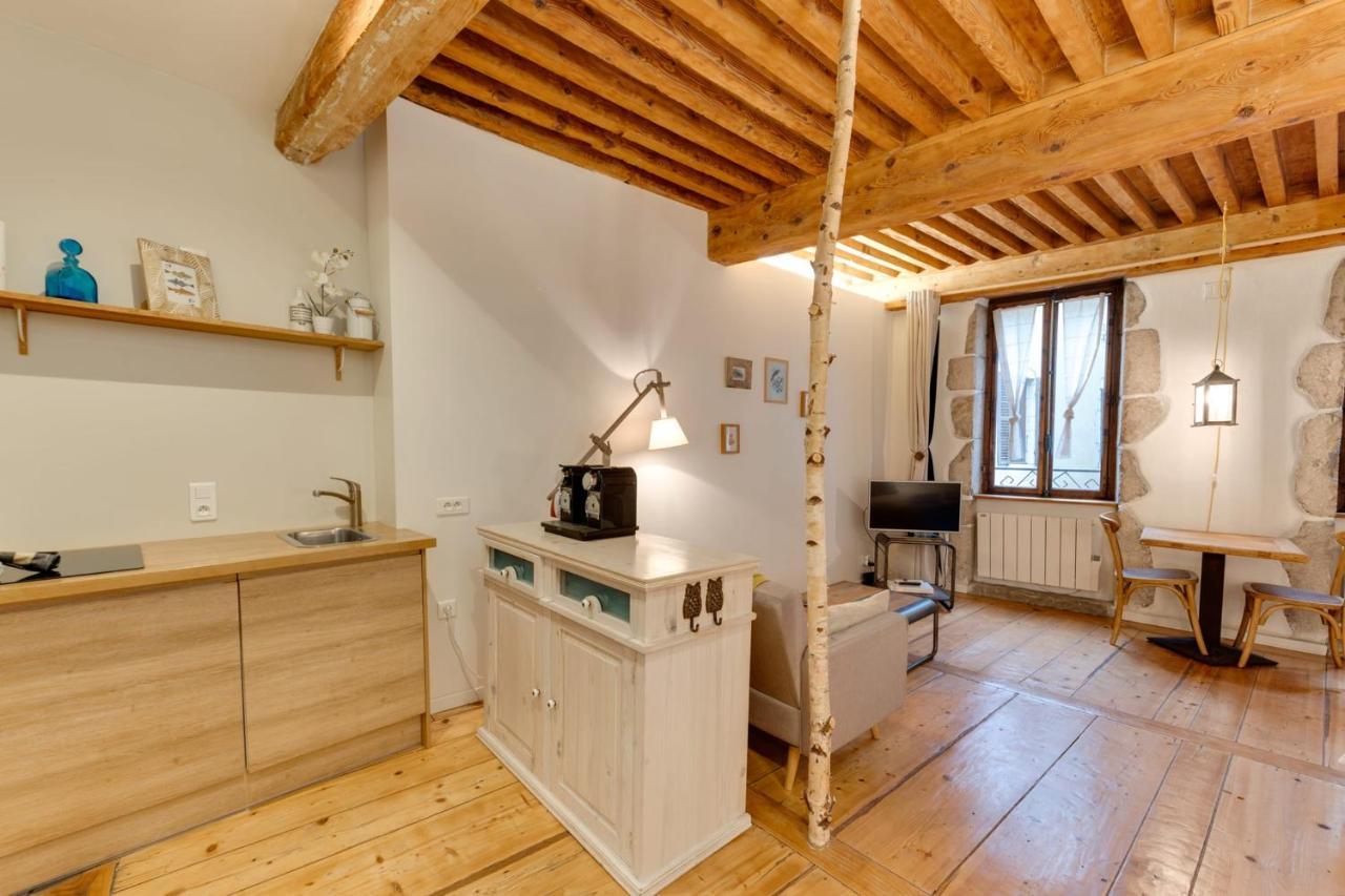 La Cour Filaterie - Suite Of 30 Sq M In The Annecy Breakfast Included Εξωτερικό φωτογραφία