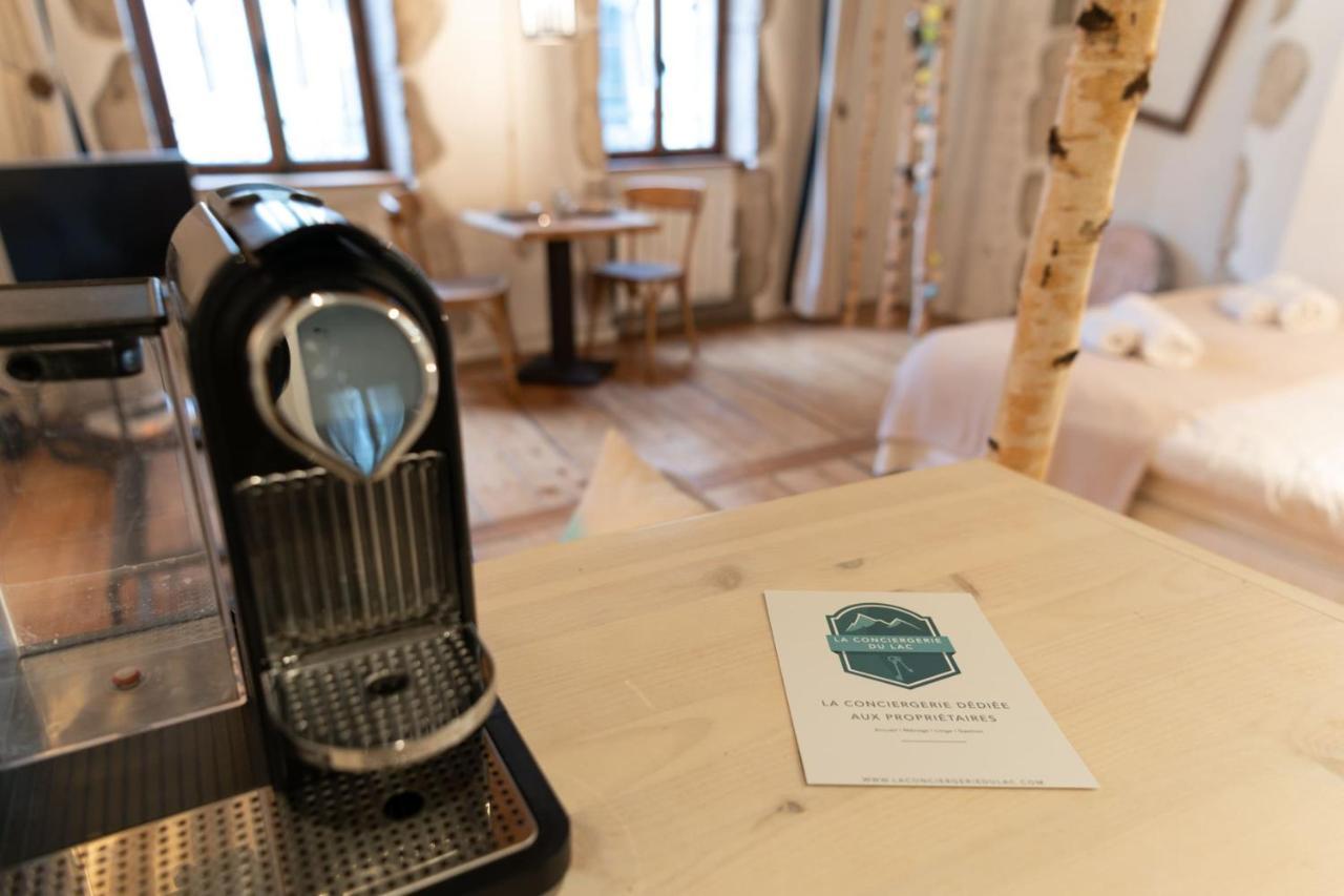 La Cour Filaterie - Suite Of 30 Sq M In The Annecy Breakfast Included Εξωτερικό φωτογραφία
