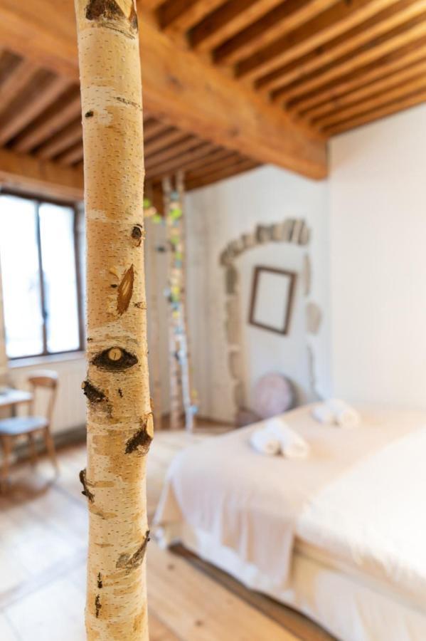 La Cour Filaterie - Suite Of 30 Sq M In The Annecy Breakfast Included Εξωτερικό φωτογραφία